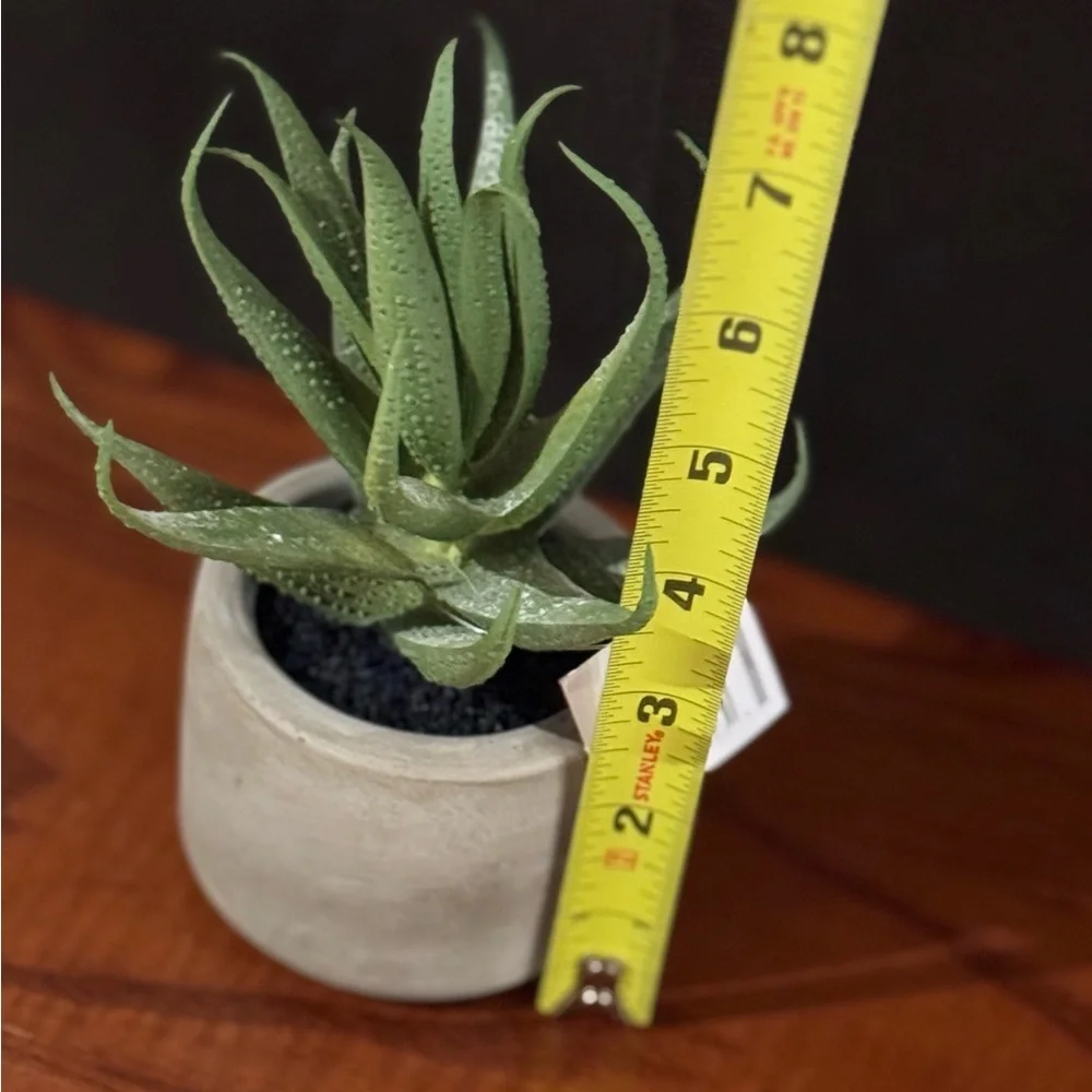 Kohls lifelike green